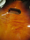 LP-1 top maple.jpg